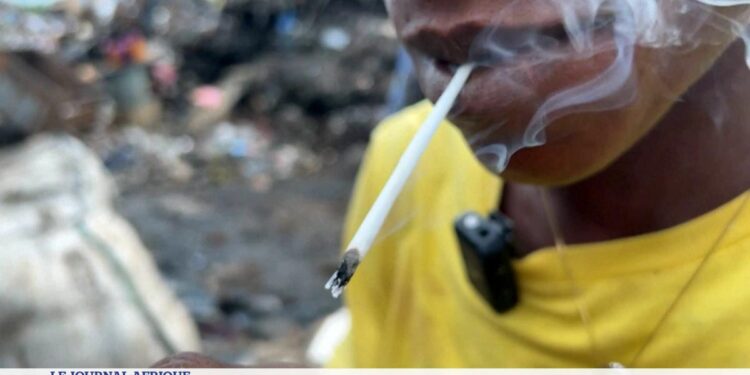 Sierra Leone : Un rapport récent identifie les composants chimiques de la drogue Kush