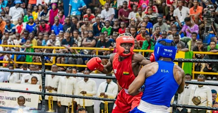 Sambo et Boxe: La Guinée brille dans deux compétitions internationales