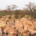 Siguiri : le bilan de lโรฉboulement ร Kintinia passe ร 7 morts